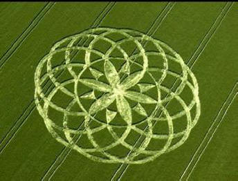 Crowds of people in England, Russia and Germany seek to see crop circles with their own eyes.