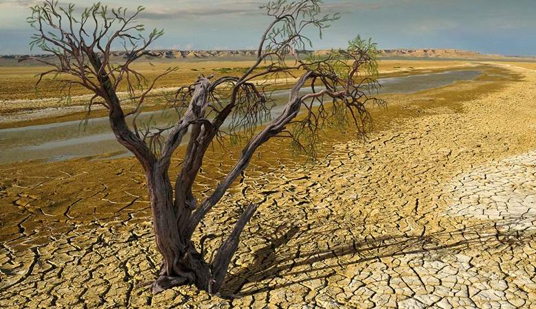 A third of the soil on our planet is no longer suitable for agriculture