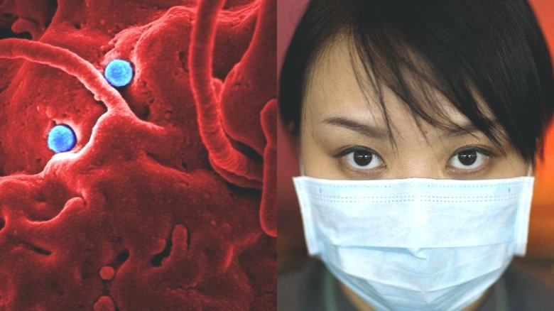 Three views on one problem: Chinese coronavirus