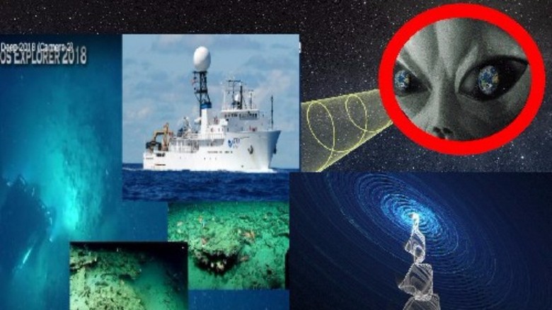 A source of mysterious signals was discovered off the coast of the USA.