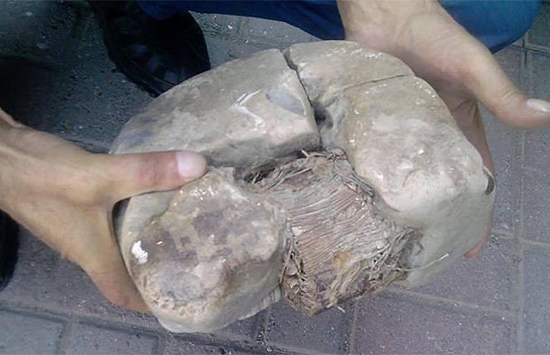 Scientists are exploring an artifact that is 20 thousand years old. Found on the territory of the Shar Planin mountain range in Kosovo.
