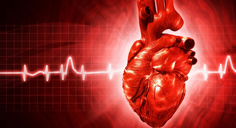 Scientists have taught stem cells to repair a damaged heart.