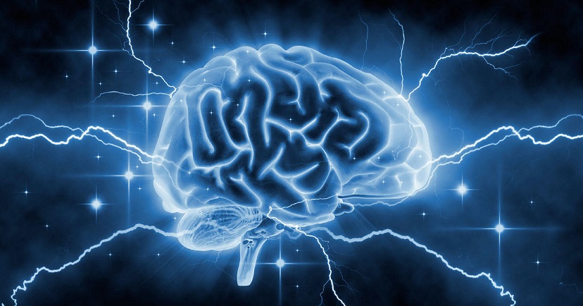 Scientists have grown a brain that suddenly began to function.