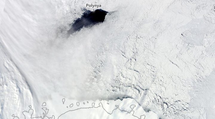 Scientists have found out what creates anomalously giant holes in the ice of Antarctica 