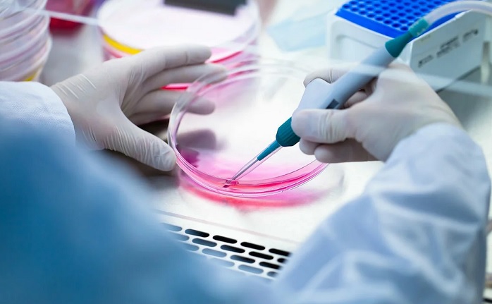Scientists Overcome Diabetes with Stem Cells in Two Weeks