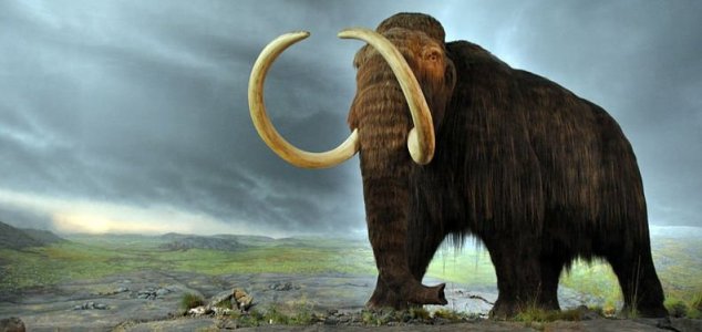 Scientists have launched a mammoth cloning project