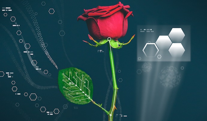 Scientists have created a cyborg flower