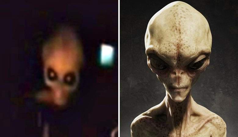 Ufologist showed a video with an alien