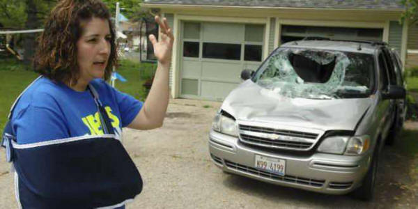 A deer fallen from the sky pierced the windshield of a car