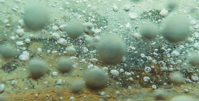 A legendary boiling river found in Amazonia