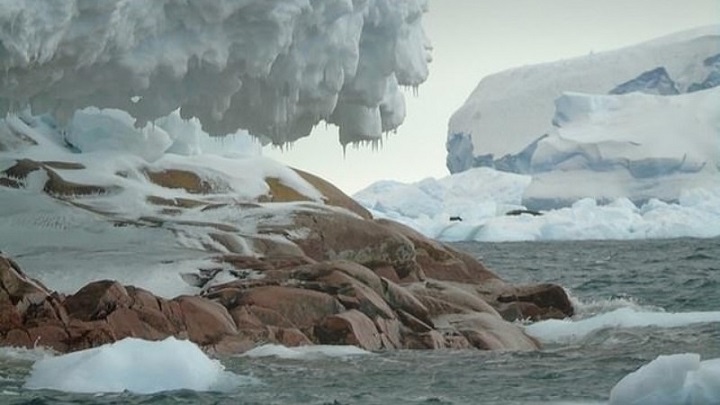 An island of granite discovered in Antarctica