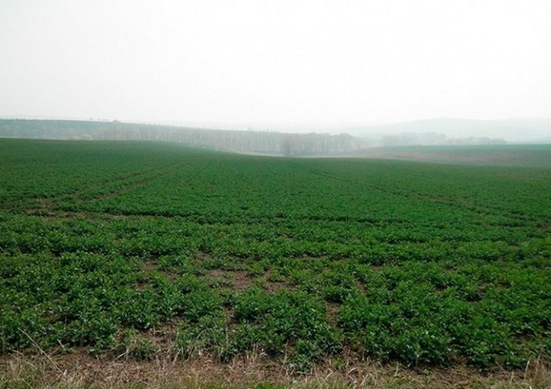 In the Czech Republic found a site still owned by the Gestapo of the Third Reich