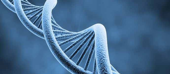 Alien DNA found in the human genome