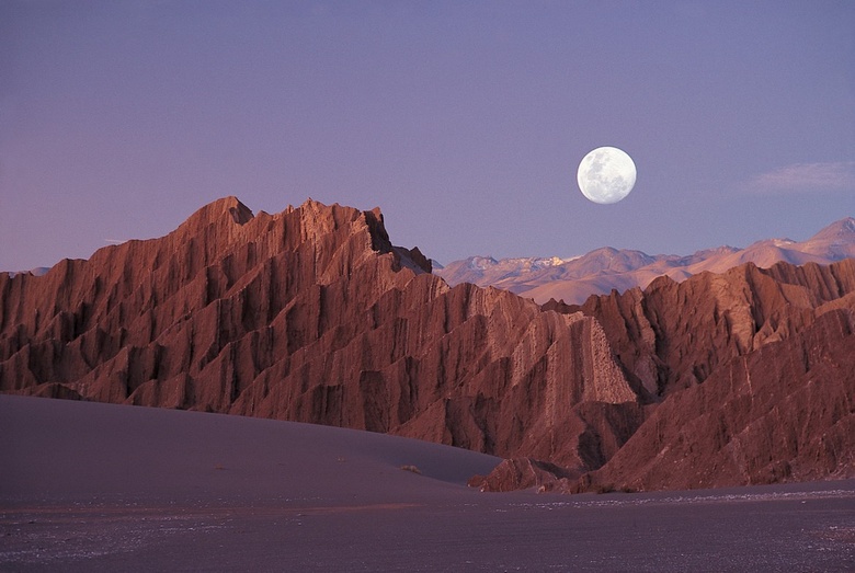 In Chile, two brothers learned how to brew beer ... from the fog