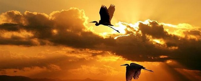 On Valentine's Day - the most beautiful thing in nature