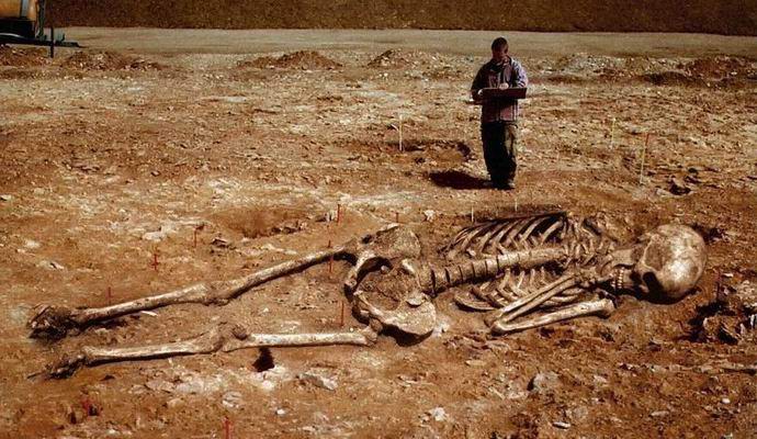 In Ecuador, dug up the skeleton of a seven-meter prehistoric giant