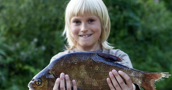 In Finland, a big fish falls from the sky