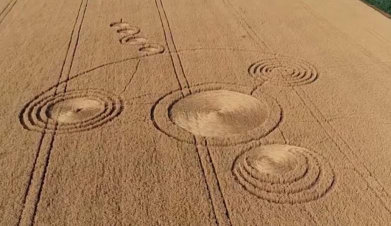 In the Krasnodar Territory, mysterious circles on the field suddenly bloomed