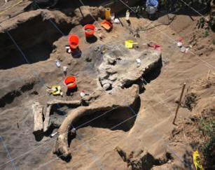 In Mexico, found the remains of an adult mammoth