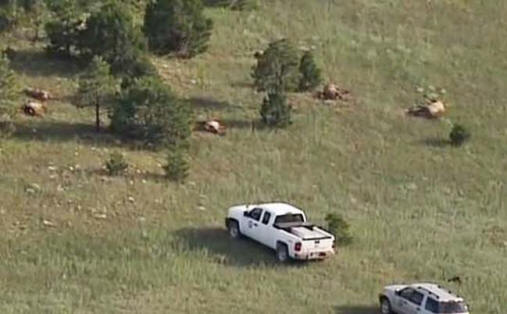In New Mexico, something killed 120 deer next to the crop circle.