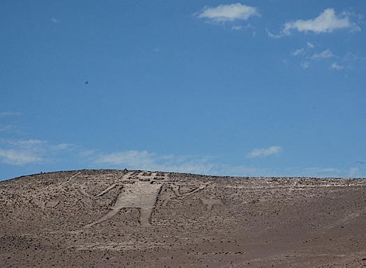 86-meter giant from the Atacama Desert (Chile)