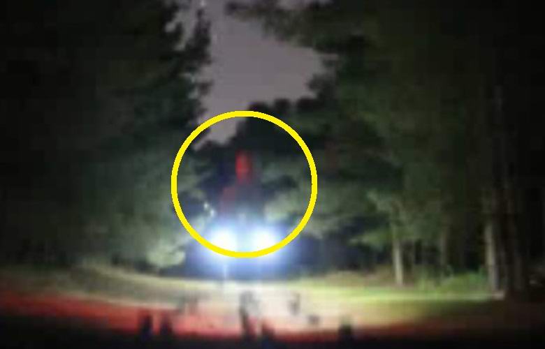 A huge alien was photographed in the Randlesham Forest