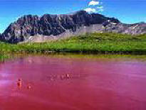 In Samara, the water in the lake turned red