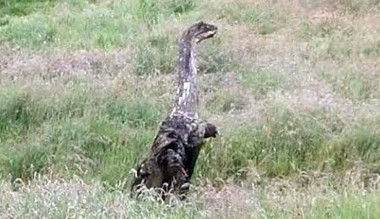 A monster was photographed in a Scottish village