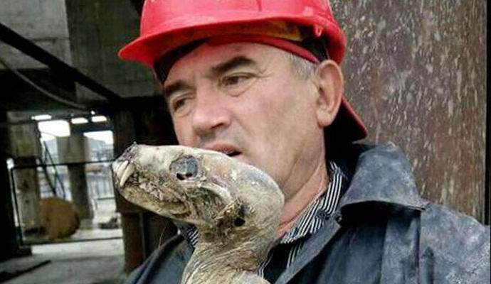 A corpse of an unknown creature was found in a Siberian mine