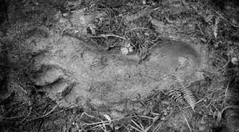 Tracks of Bigfoot Found in Texas