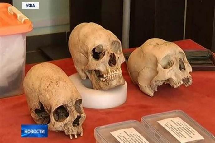 The skull of an Arkaim alien was brought to Ufa