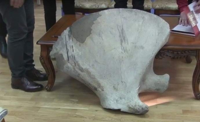 In Ukraine, they found a mammoth bone in the trash