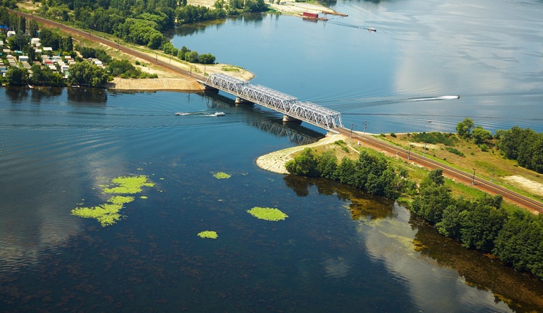 A creature unknown to science was captured in the Voronezh reservoir