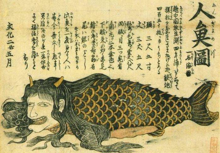 In the Japanese temple Ryuguji you can see the remains of a mermaid