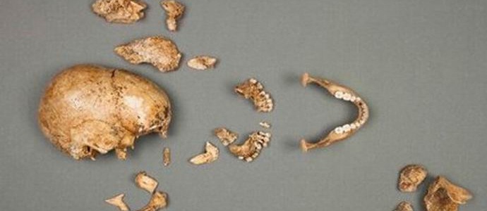 Bones of a Wehrmacht officer found in the stomach of a huge catfish