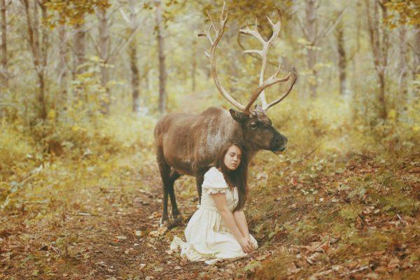 Why is the moose dreaming 