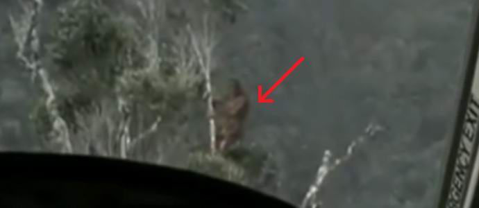 During the Vietnam War, the Americans filmed the mysterious primate