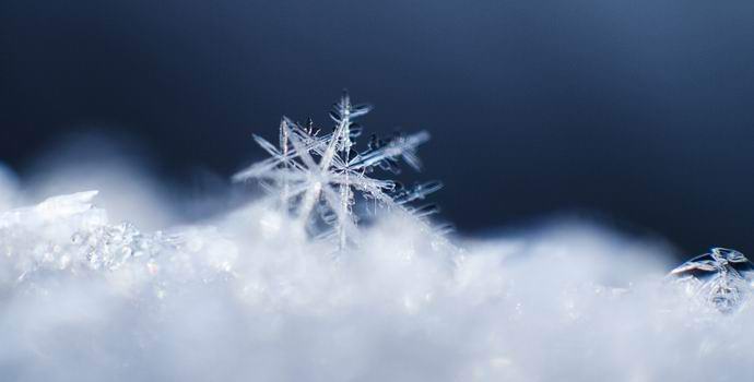 Two identical snowflakes first appeared