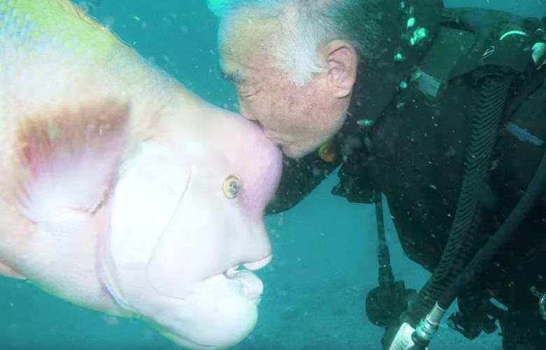 Japanese pensioner 30 years friends with a monster from the depths