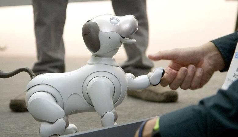 Japanese robotic puppy touched Web users