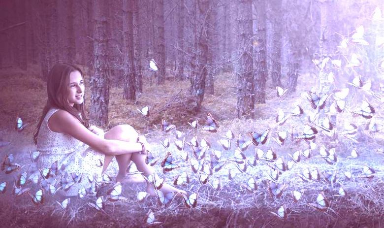 A young man in love with butterflies after death sends greetings through them to his sister