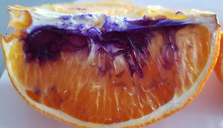 The riddle of an orange whose flesh began to crumble instantly and turn purple