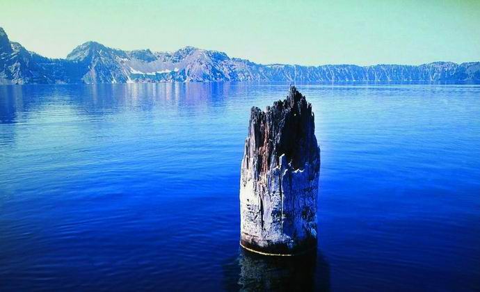 The riddle of an amazing log in Crater Lake