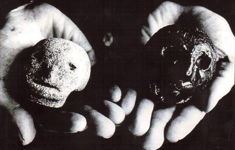 Mysterious Heads of Hexem, next to which inexplicable phenomena begin to occur.