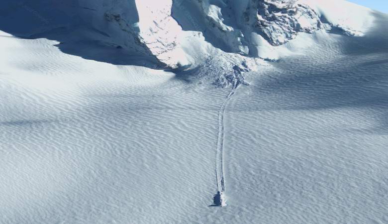 A mysterious trail found in the snow of the Subantarctic