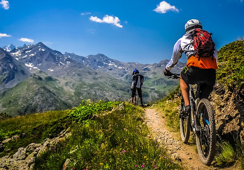 An entertaining cyclist and groundhog race