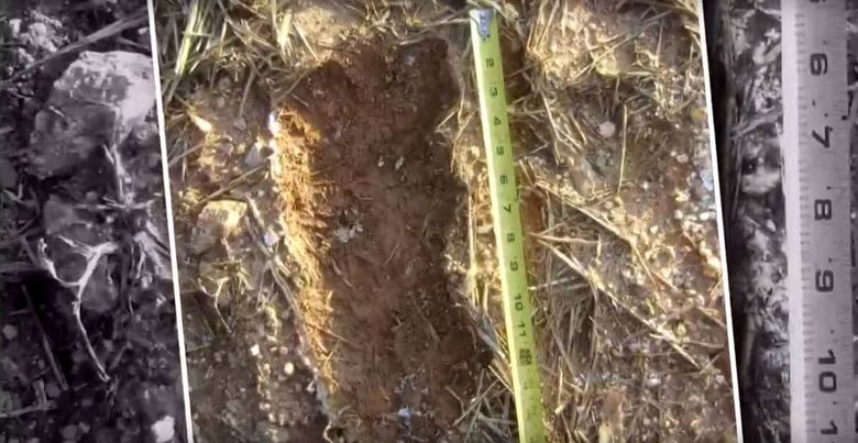 A woman from North Carolina claims she has big feet in her backyard periodically.