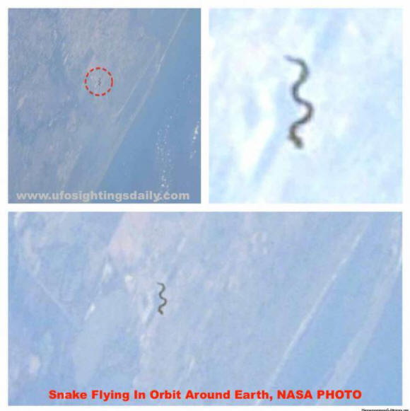 Snake-like creature in orbit of the Earth