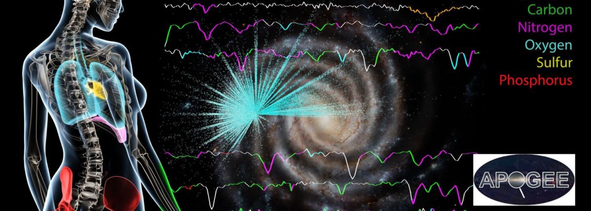 The stars of the Milky Way are made up of the same elements as humans 